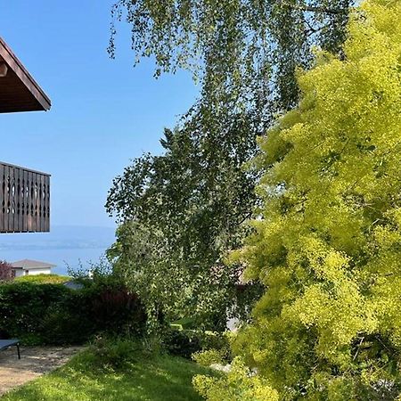 Appartement Évian-les-Bains, 2 pièces, 4 personnes - FR-1-498-15 Extérieur photo